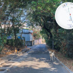Kwu Tung South Road