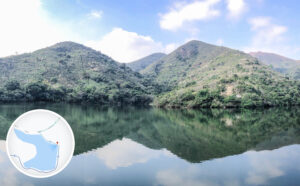 古洞水塘《壹》