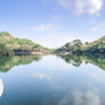Kwu Tung Reservoir 《II》
