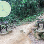 女婆坳 • 分岔口