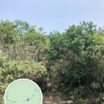 黃牛山 • 登山捷徑《入口》