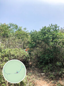 黃牛山 • 登山捷徑《入口》