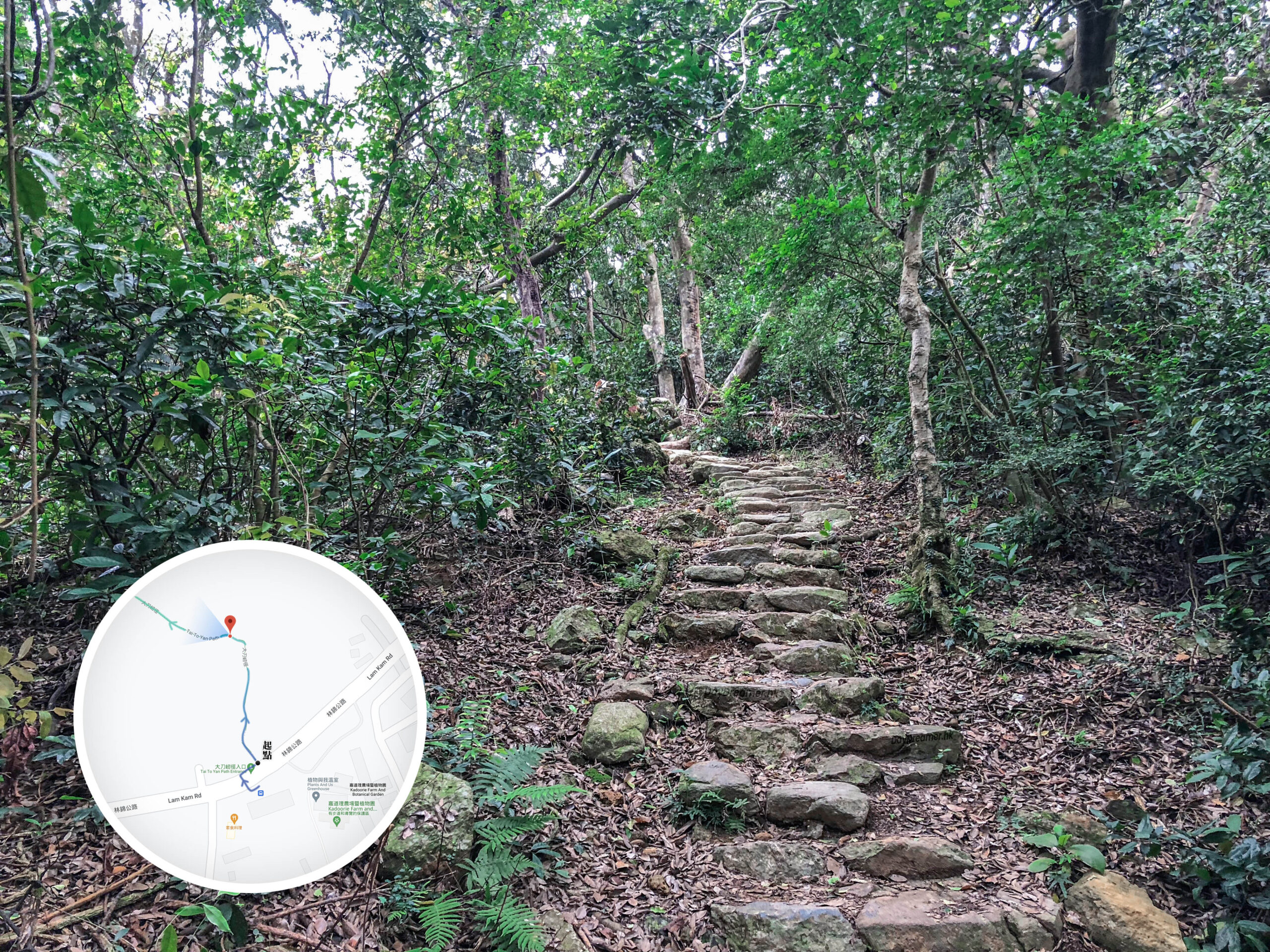 大刀屻徑 • 漫長山坡