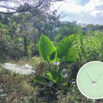 石壟仔村 • 吳氏家祠