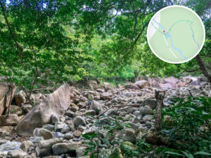 梅大石澗 《壹》