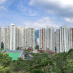 玉桂山 • 山腰