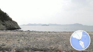 鴨脷排 • 連島沙洲