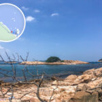 綠蛋島《叄》