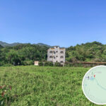 印洲塘郊遊徑《貳 。 壹》