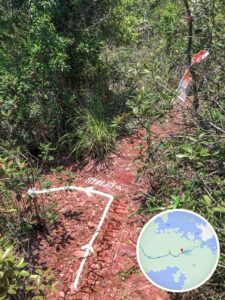 紅石門徑 • 分岔口《壹》