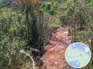 紅石門徑 • 分岔口《貳》