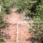 紅石門徑 • 分岔口《叄。壹》