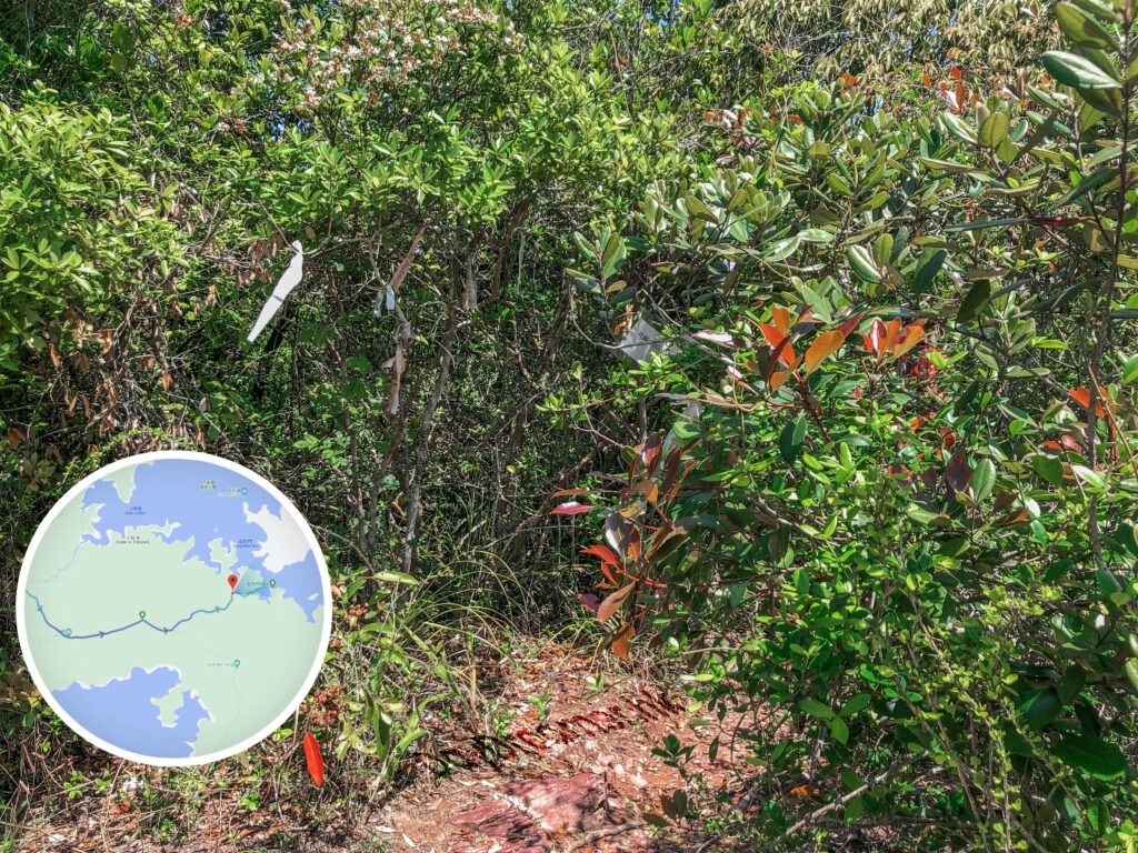 紅石門徑 • 分岔口《叄。貳》