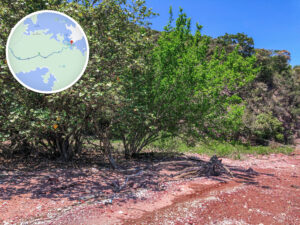 紅石門海岸《壹》