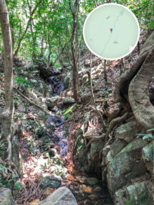 中狗牙坑《柒》