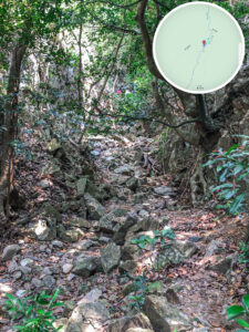 中狗牙坑《捌》