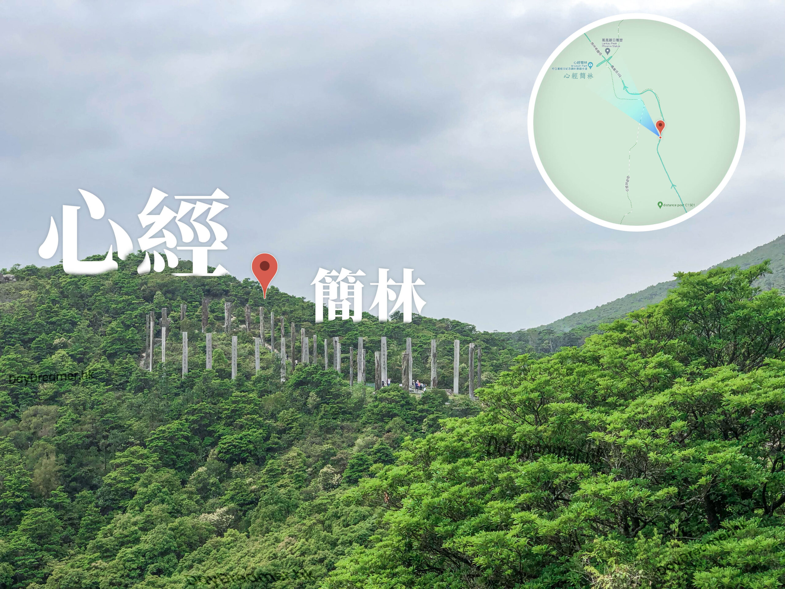 遠觀 • 心經簡林