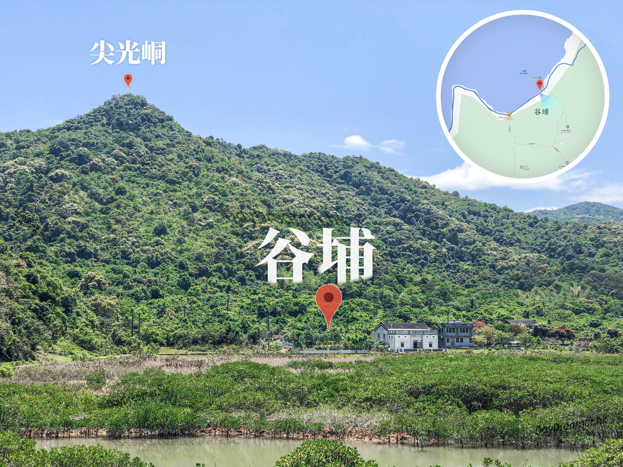 谷埔《伍》