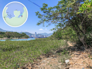 大深涌篤《貳。壹》