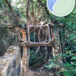 Yung Shue Au Village Treehouse 《I》