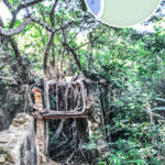 Yung Shue Au Village Treehouse 《II》