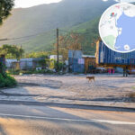 Nam Chung – Bus Stop 《II》