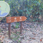 分流 • 路牌《壹》
