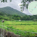 白沙澳 • 田園