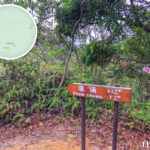 路牌 • 深涌