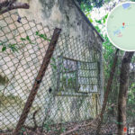 深涌小學《1》