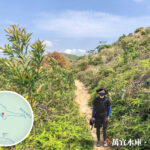 山路小徑