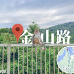 金山路《美猴王》