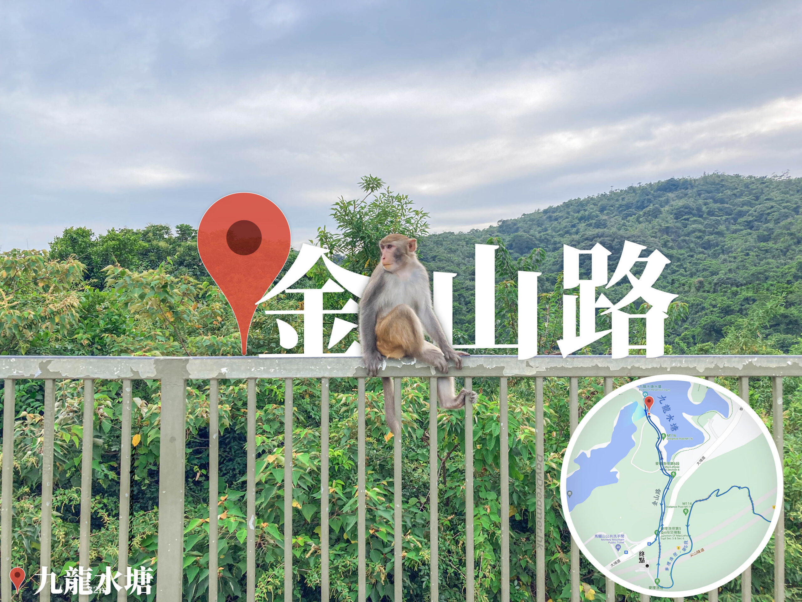 金山路《美猴王》