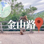 金山路《𤠣子出巡》