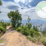 獅尾脊徑《孤獨的樹》