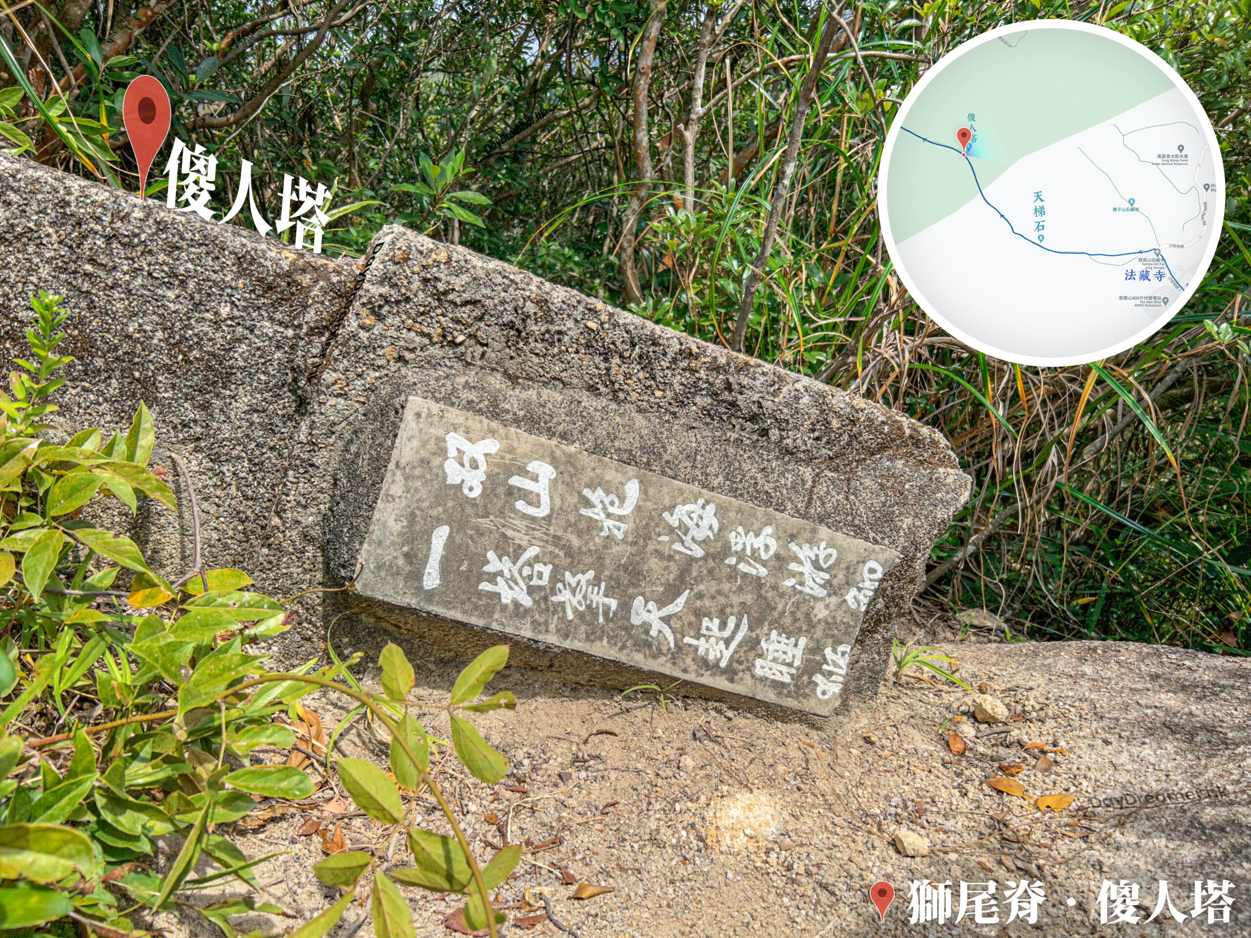 傻人塔《2》
