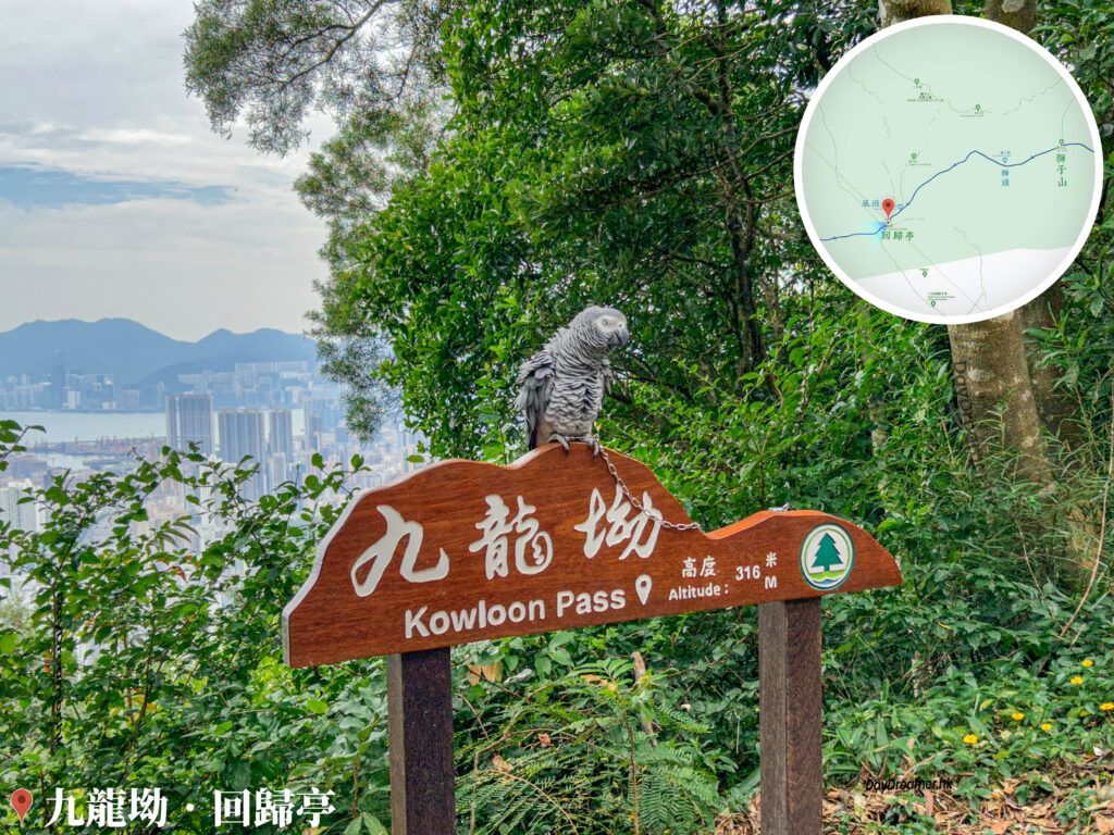 九龍坳 • 鸚鵡《2》