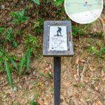 麥理浩徑 • 第5段《標距柱 • M107》