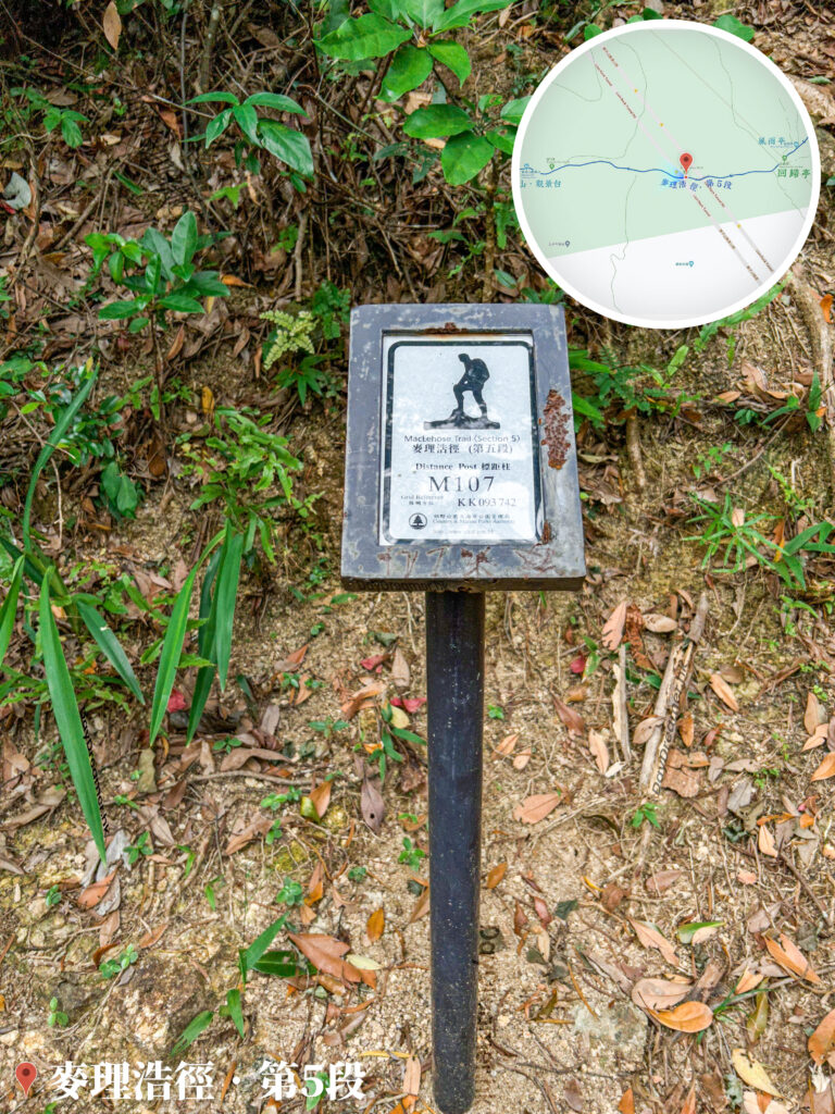 麥理浩徑 • 第5段《標距柱 • M107》
