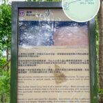 軍事座標 • 石座《3》