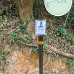 麥理浩徑 • 第5段《標距柱 • M108》【壹】