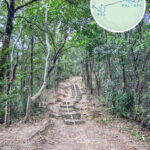 麥理浩徑 • 第5段《4》