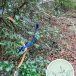 筆架山 • 雷達站《絲帶》