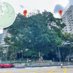 Mount Davis Road 《IV.3》