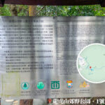 龍虎山郊野公園 • 中草藥園《3》