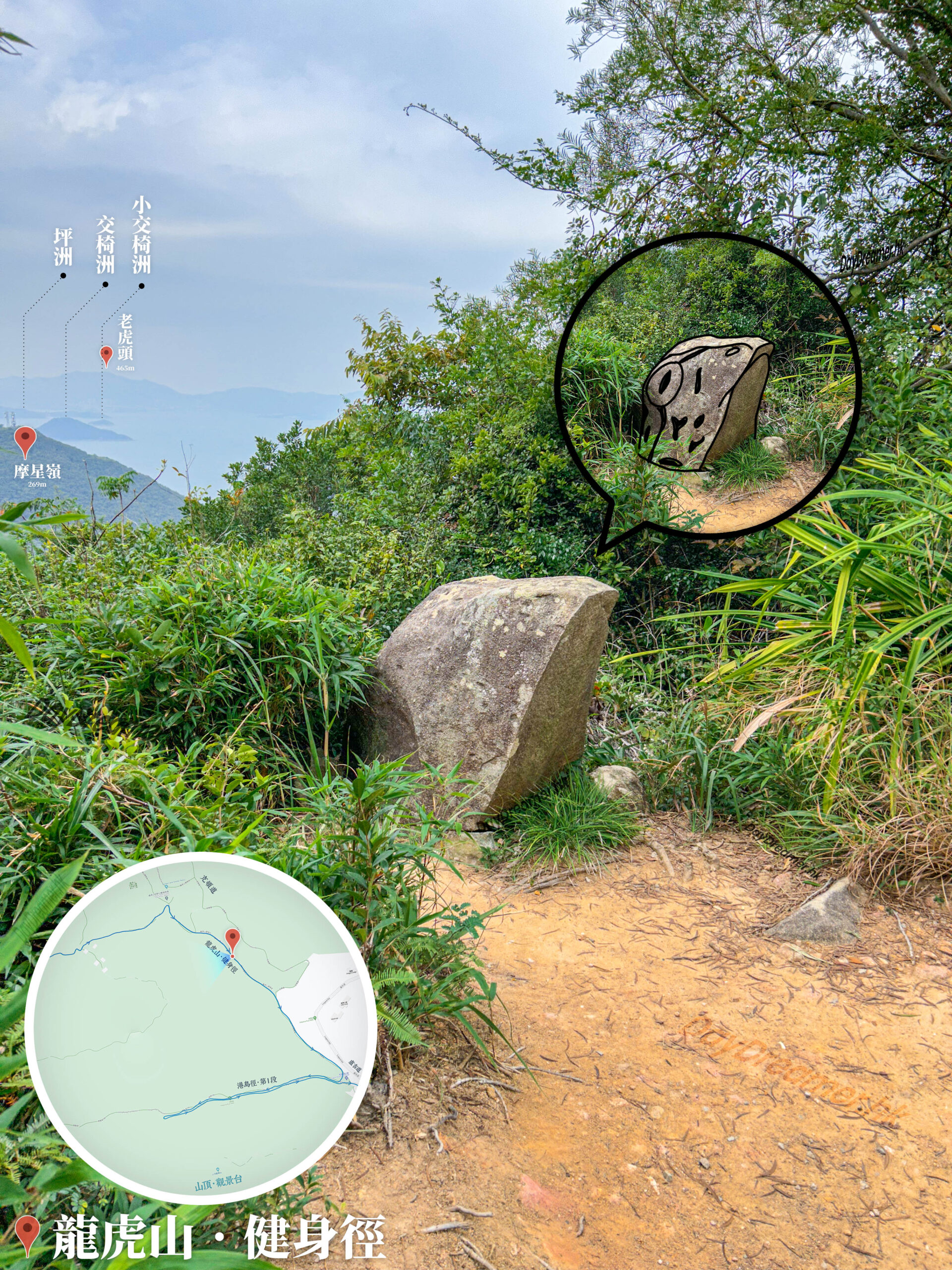 龍虎山健身徑 • 青蛙石🐸《4》