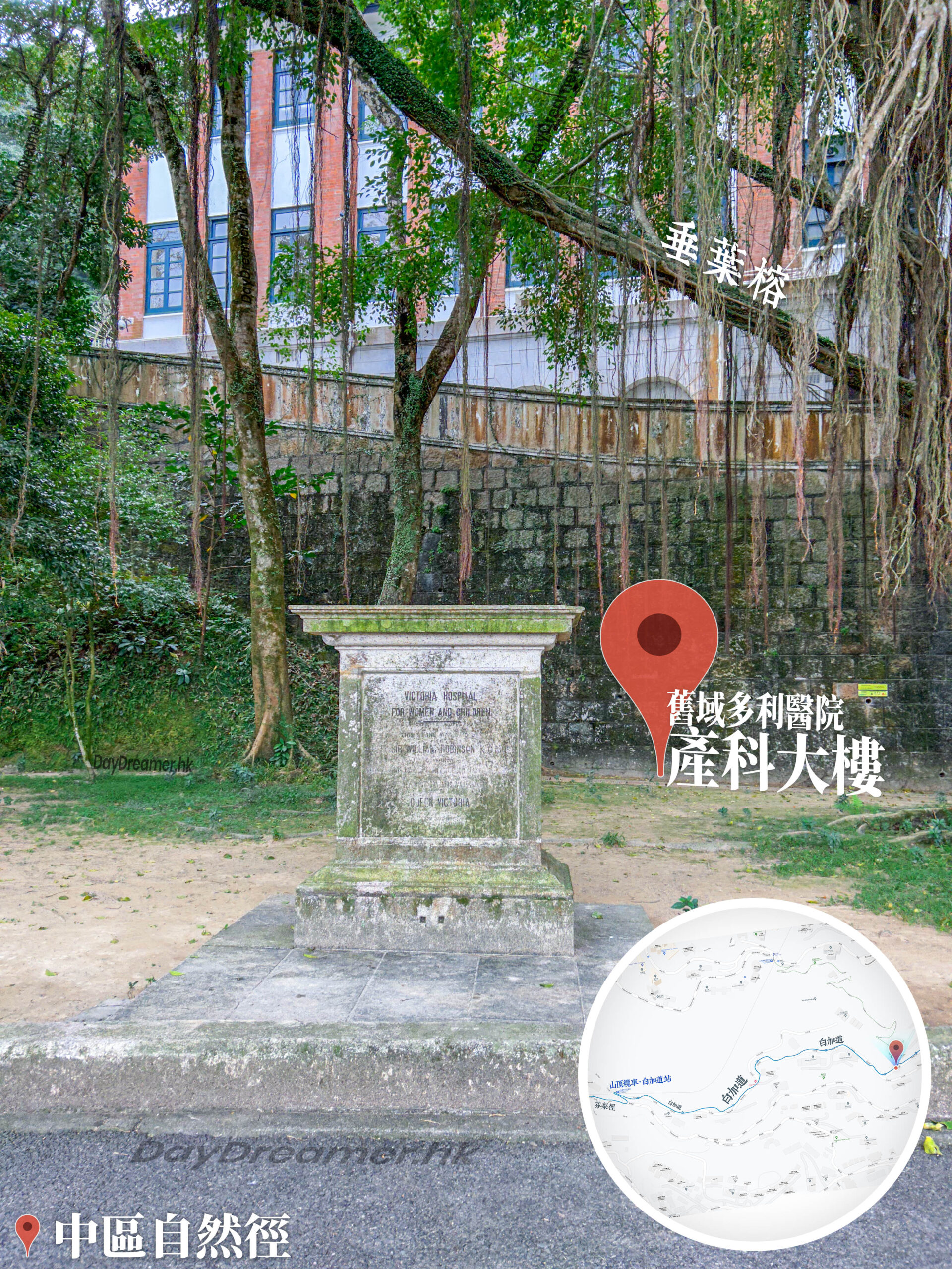 中區自然徑 / 舊域多利醫院 • 產科大樓《3》
