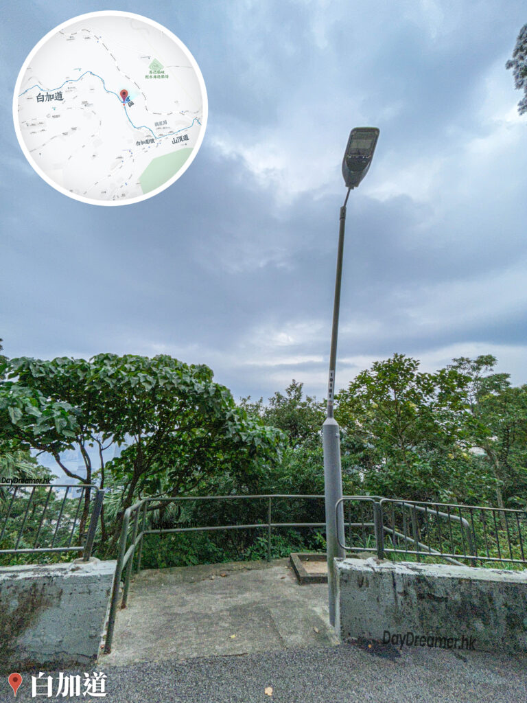白加道《瞓捩頸的燈柱》 白加道《瞓捩頸的燈柱》