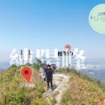 The summit of Pat Sin Leng《IV》
