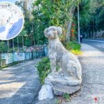 Tai Mei Tuk Village, Dog Statue